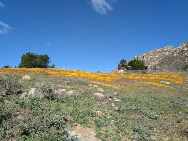 Riverside County Regional Park & Open Space District - Image 3