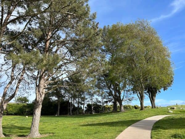Del Cerro Park - Image 3
