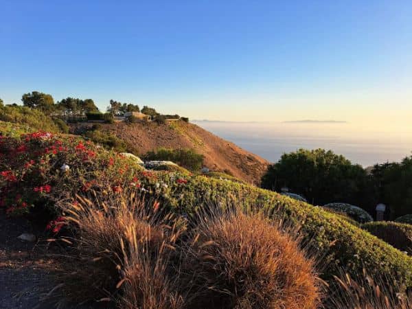 Del Cerro Park - Image 1
