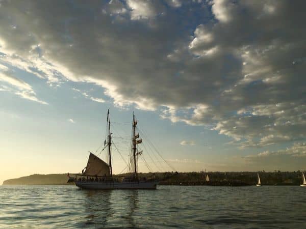 Spirit of Dana Point - Image 3