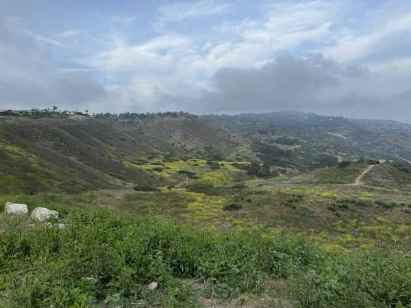 Filiorum Reserve - Image 4