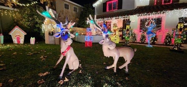 Homestead Holidays - Image 1