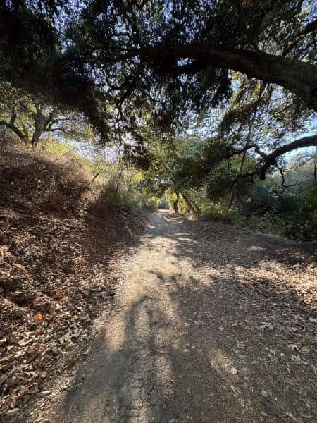 Turnbull Canyon - Image 4