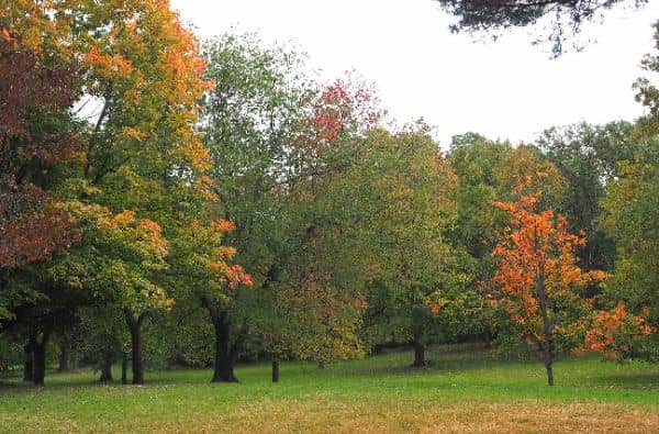 Milton Lake Park - Image 2