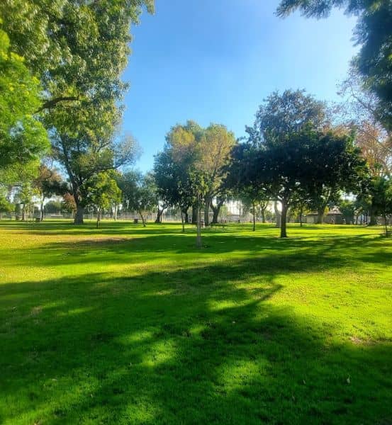 Little Lake Park - Image 3
