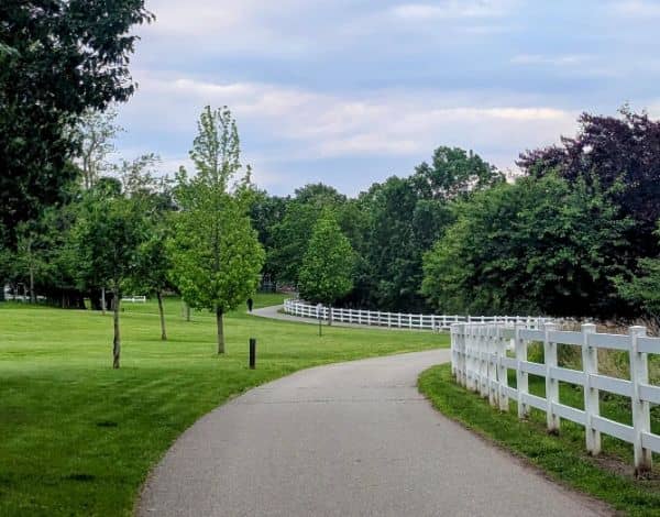 Joseph Medwick Park - Image 3