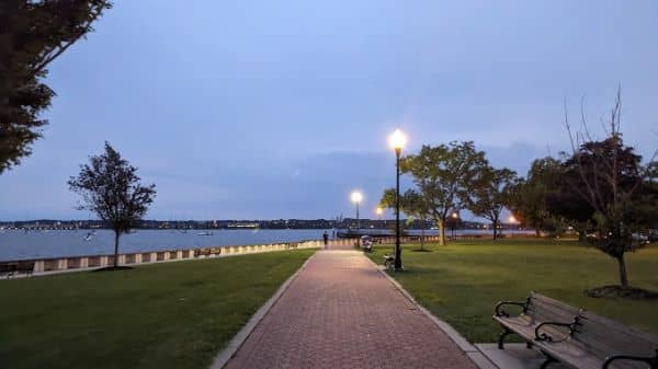 The Hummingbird Garden - Image 5