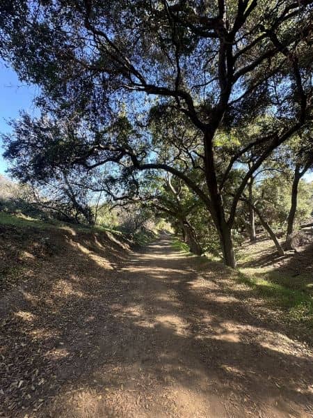 Powder Canyon - Image 3