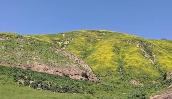 Morrison Park - Image 3