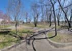 Greis Park - Image 4