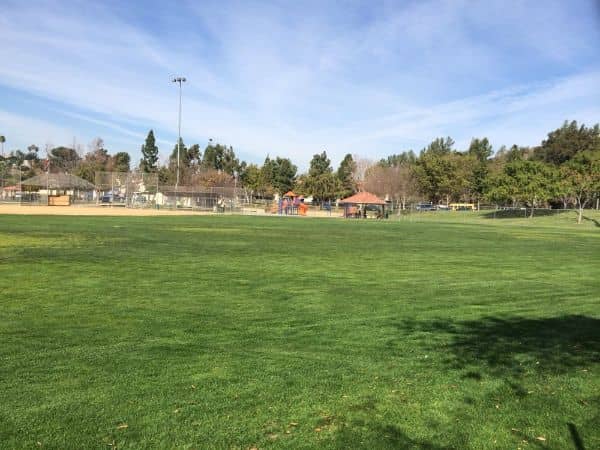 Carlton J. Peterson Park - Image 5