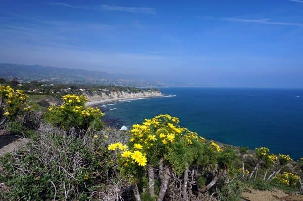 Point Dume State Beach - Image 3