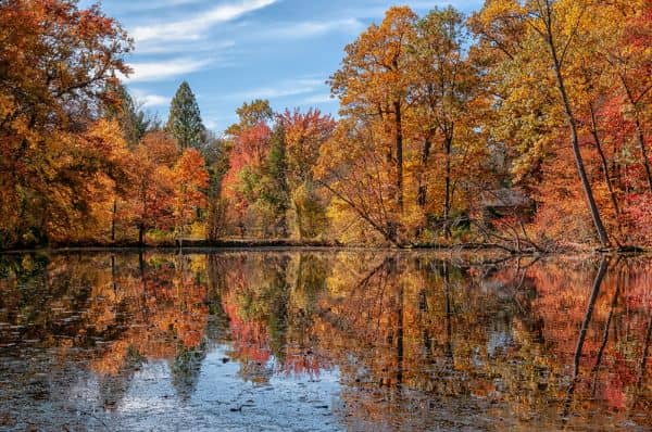 Bailey Arboretum - Image 1