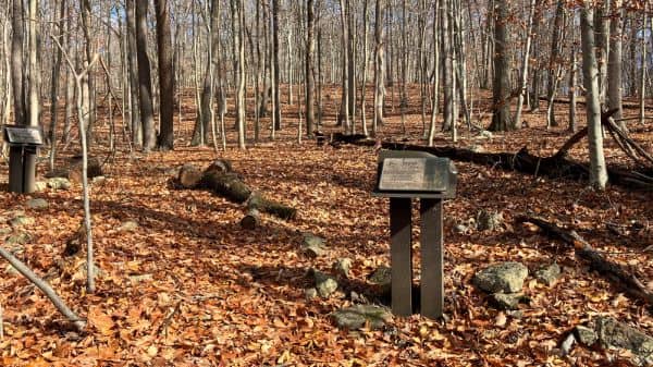 New Jersey Brigade Area - Image 2