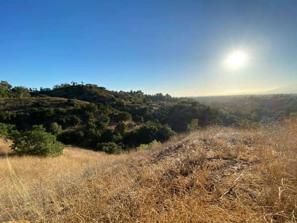 Frank G. Bonelli Regional Park - Image 3