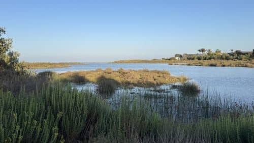 Malibu Lagoon State Beach - Image 5