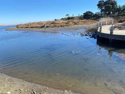 Malibu Lagoon State Beach - Image 4