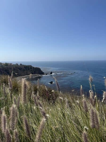 Alta Vicente Reserve - Image 2