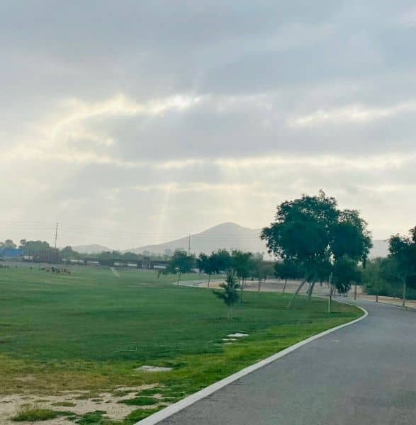 Eastvale Community Park - Image 3