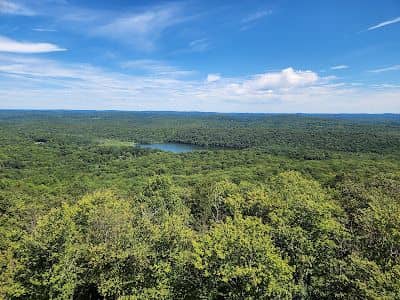 Nimham Mountain Multiple Use Area - Image 2