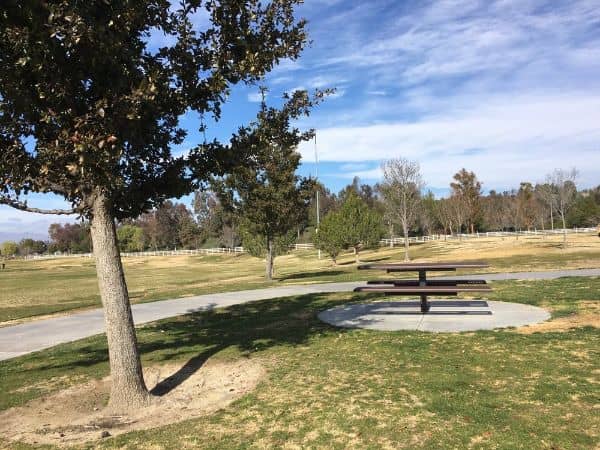 Bridgeport Park - Image 2