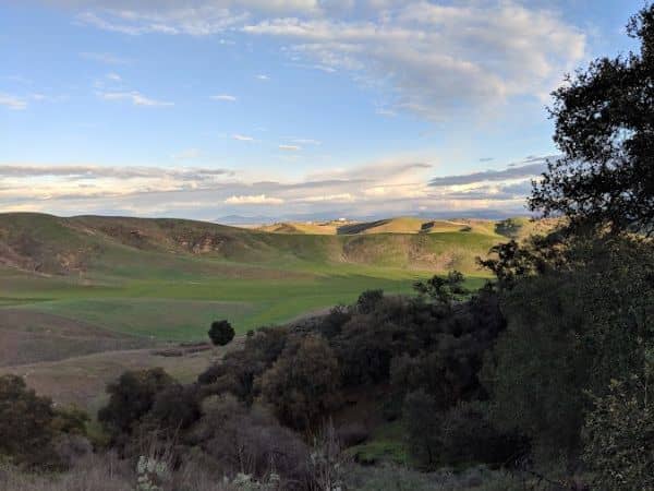 Pantera Park Trail - Image 3