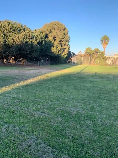 Pequeno Park - Image 2