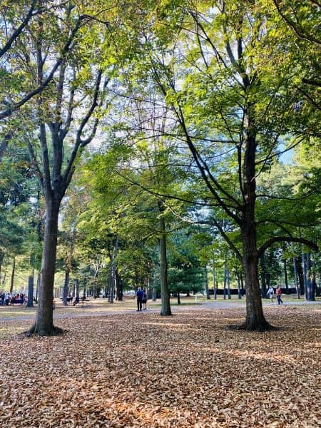 Eisenhower Park - Image 3
