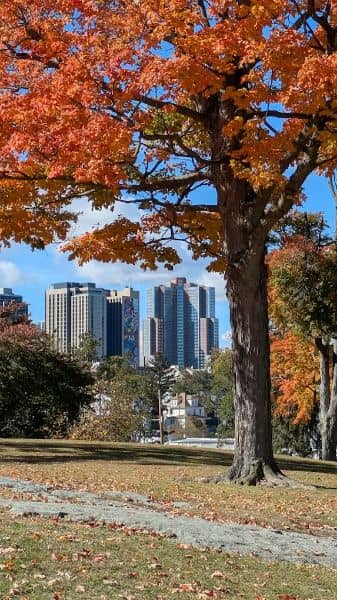 Hudson Park & Beach - Image 3