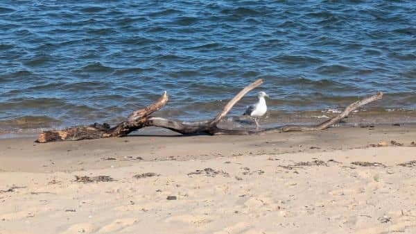 Hudson Park & Beach - Image 1