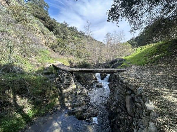 Big Dalton Wilderness Area - Image 3