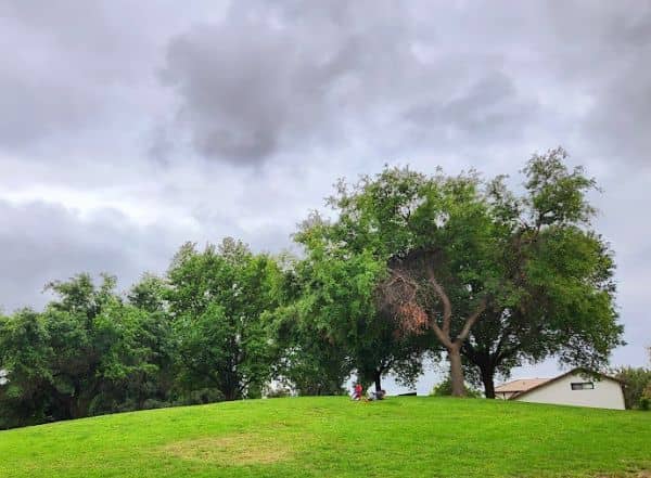 Forest Cove Park - Image 3