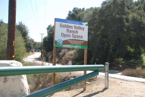 Golden Valley Open Space Vernal Pool - Image 2