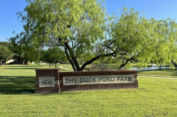 Duck Pond Park - Fishing Place - Image 5