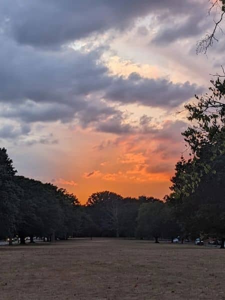 Buccleuch Park - Image 5