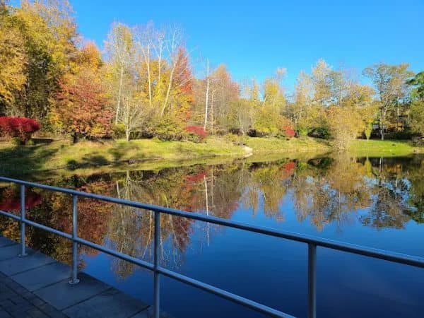 Greg Sikorsky Childrens Park | Lime Kiln Park - Image 3
