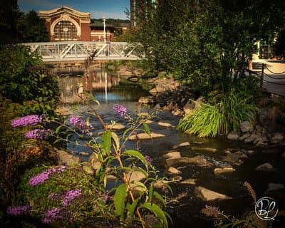 Van Der Donck Park - Image 3