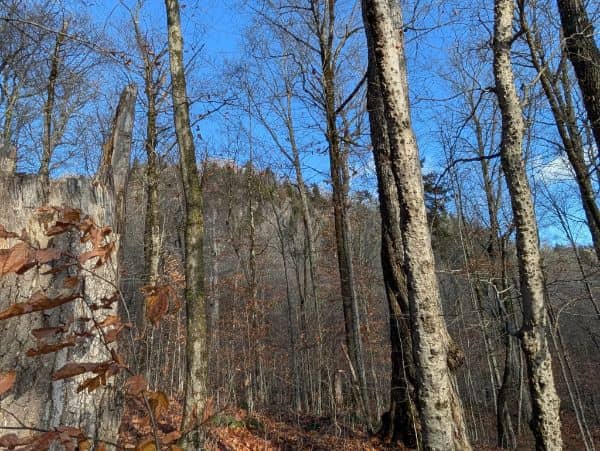 Echo Mountain - Image 2