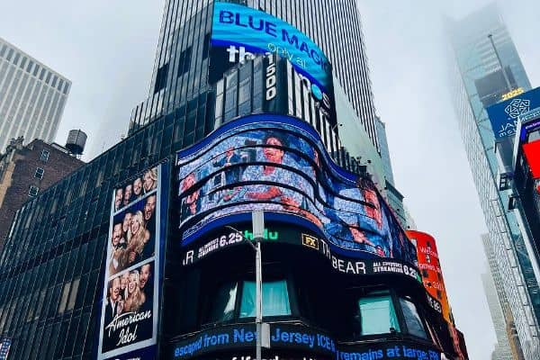 Times Square on the Long Path - Image 2