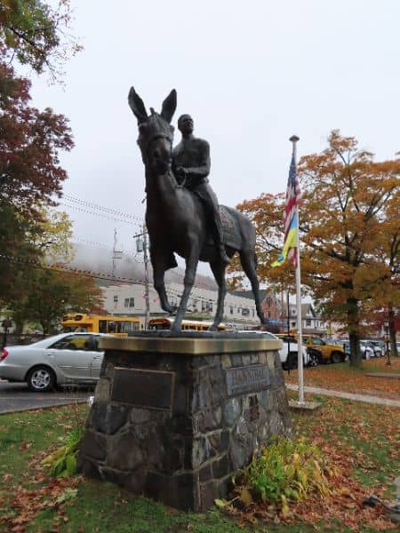 Hannibal the West Point Mule - Image 3