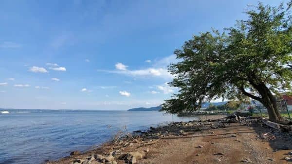 Seawall at Grassy Point - Image 3