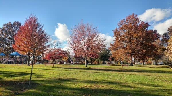 Lyon Park - Image 2