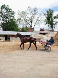 Goshen Historic Track Inc - Image 1