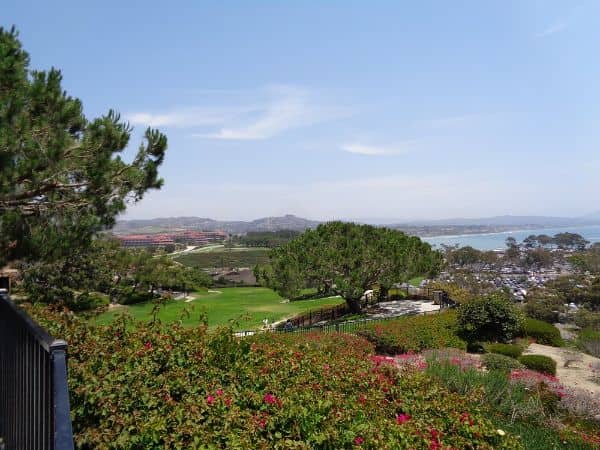 Doris Walker Overlook - Image 1