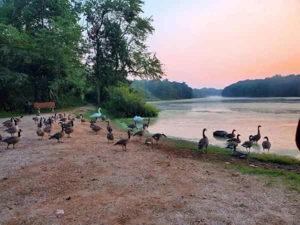 Millers Pond County Park - Image 3