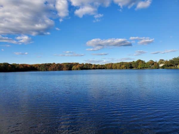 Southards Pond Park - Image 3