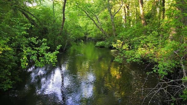 Southards Pond Park - Image 1