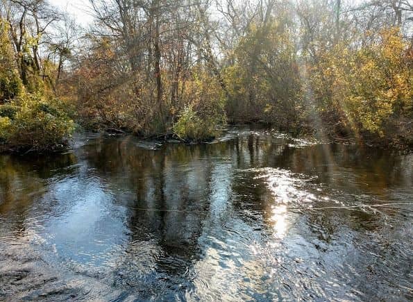 Southards Pond Park - Image 2