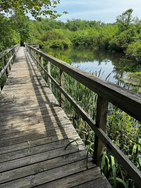 North Shore Wildlife Sanctuary - Image 4