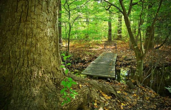 North Shore Wildlife Sanctuary - Image 5